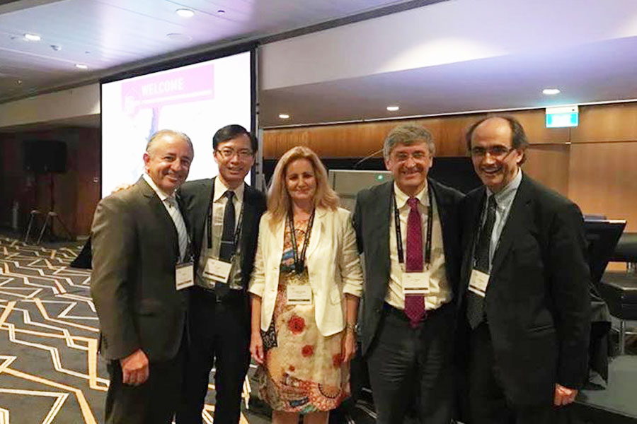 The World Congress on Myomas and Endometriosis. Singapore 2017