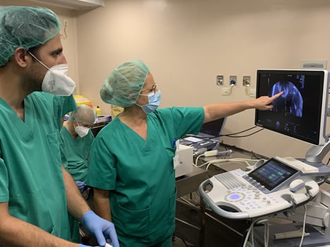 Masterclass of Radiofrequency of Uterine Myomas to Gynecologists from Germany