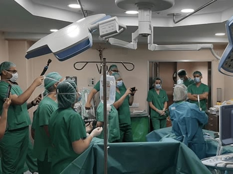 Masterclass of Radiofrequency Ablation of Uterine Myomas