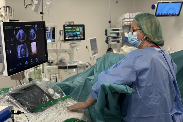 Radiofrequency Vaginal Myomas